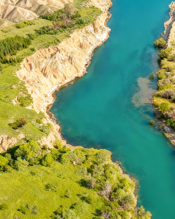 Rooted in a Land of Botanical Richness